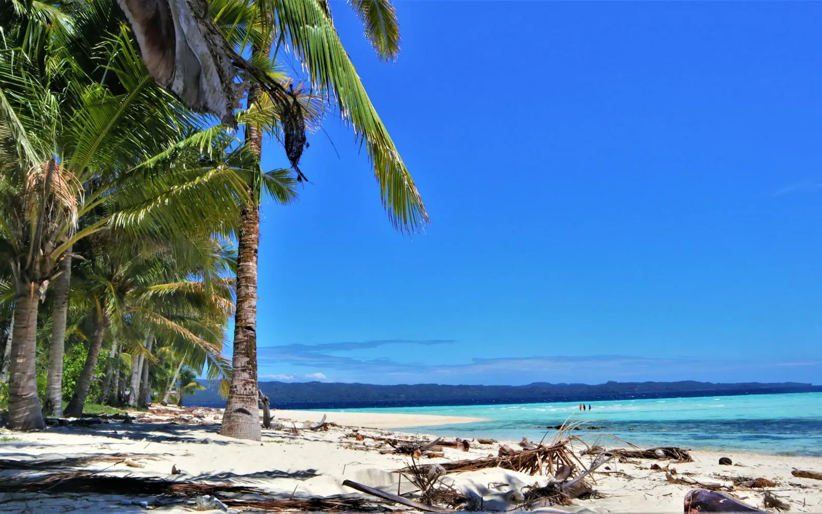 A wide sandy beach under bright blue sky